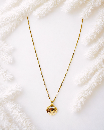 Golden Shell Pendant Korean Necklace