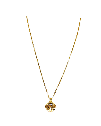 Golden Shell Pendant Korean Necklace